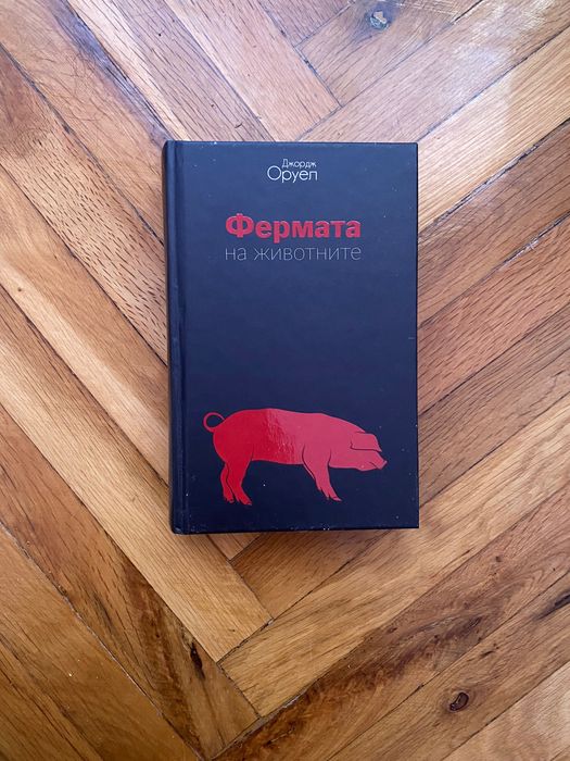 Две много запазени книги