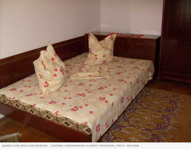 Cazare garsoniera Slanic Prahova