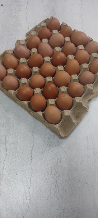 Продам куриные яйца домашние.,
