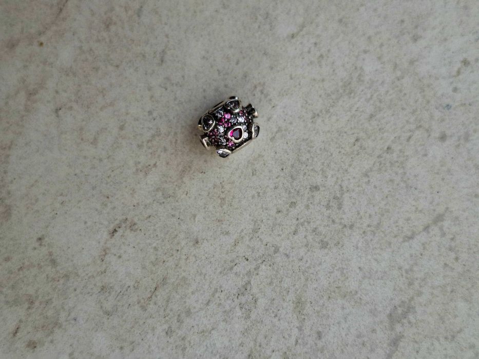 Сребърни талисмани Пандора