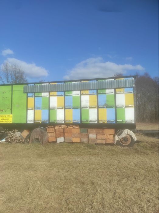 Vand pavilion pentru albine