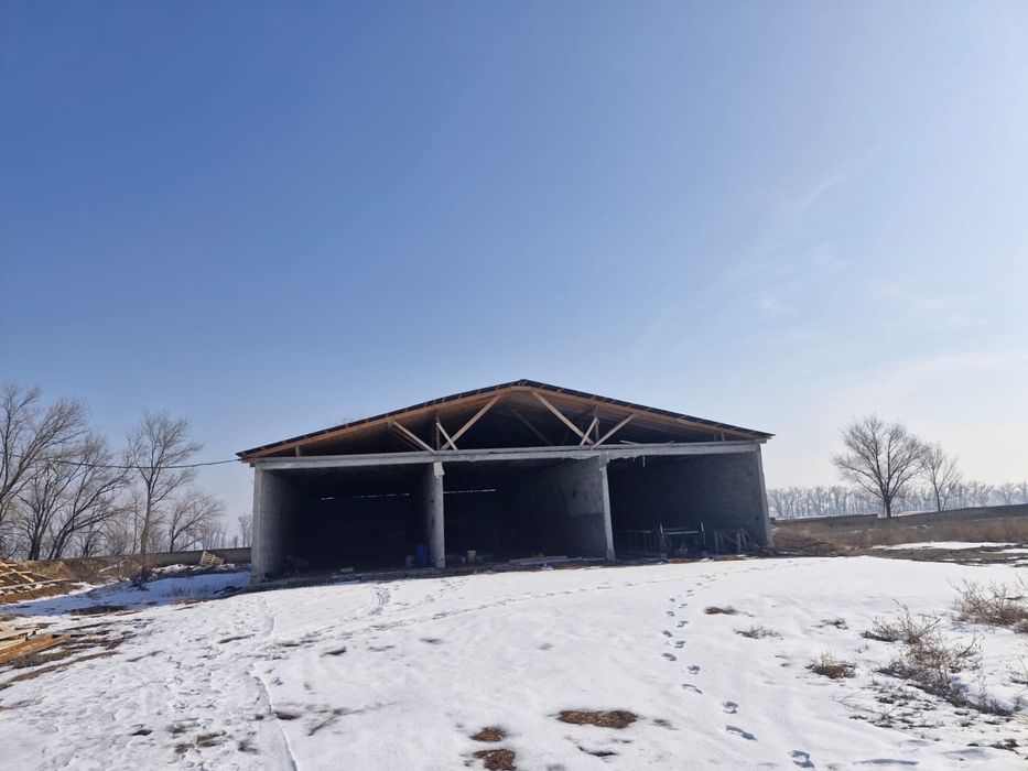 Готовый завод шампиньонов 6000соток