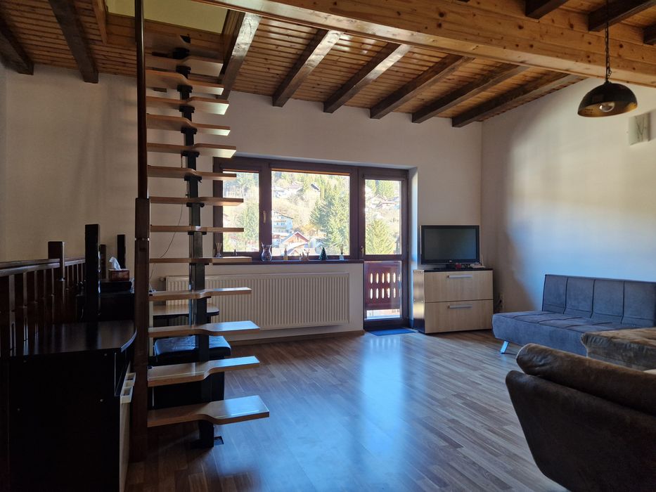 Penthouse Busteni