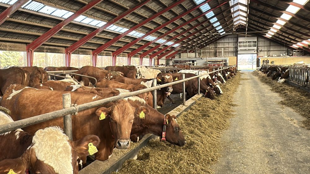 Dailniy apparat, doilniy apparat, aparat, sigir sog’adigan, доильный