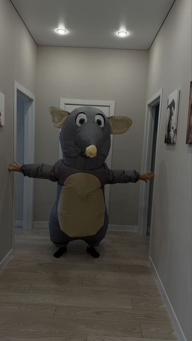 Аренда костюма крысы!