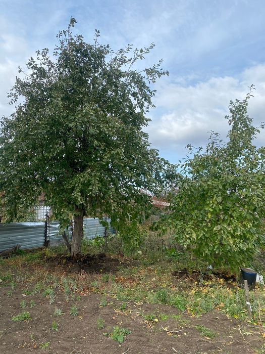 Продам Дачу в городе 4линия