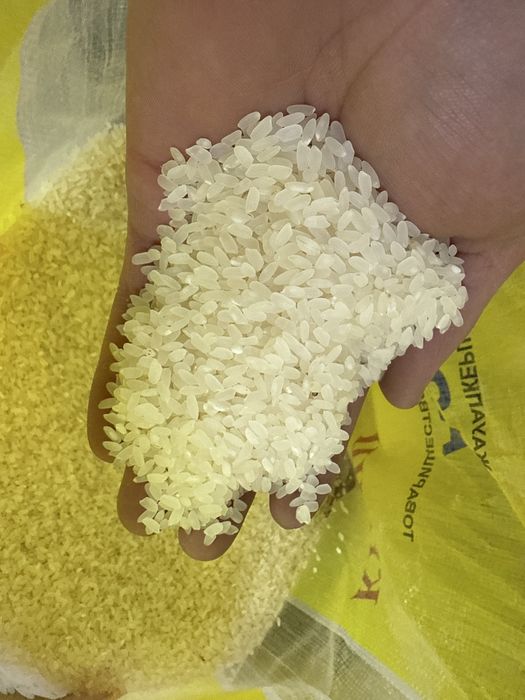 Рис Күріш Кызылорда