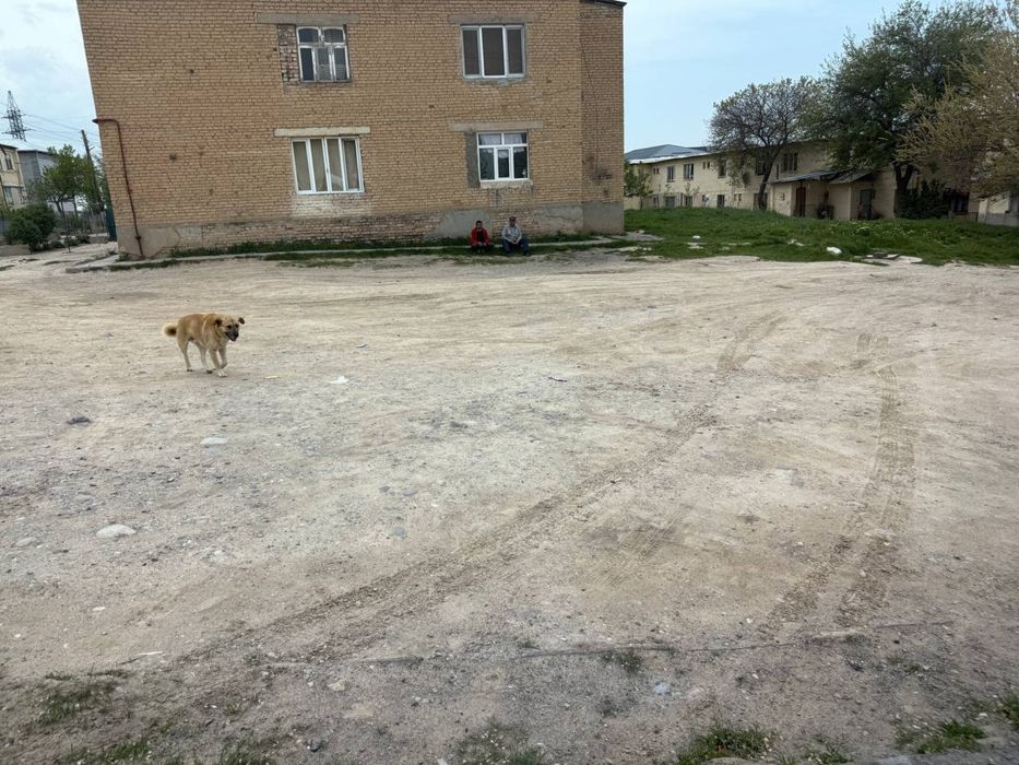 qibray noturar joy sotiladi