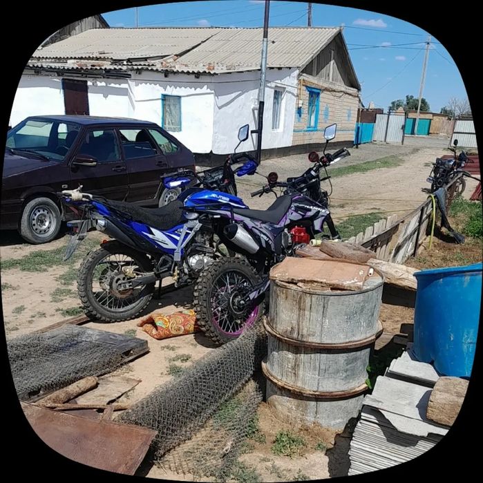 Hammer Wolf 72 300cc