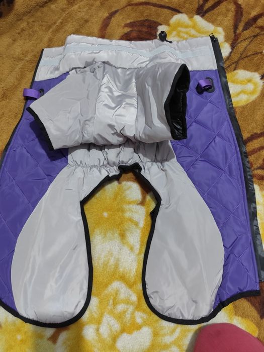 Одежда для собак