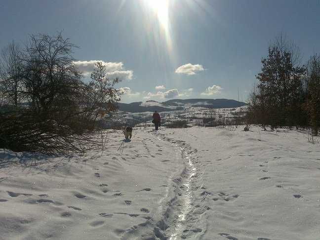 77,800 mp (7,8 ha) teren COMASAT - 4ha intravilan - zona montana - ideal investitii