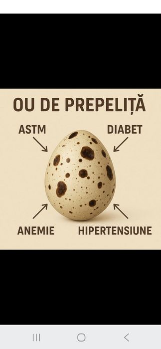 Comercializez ouă de prepelite