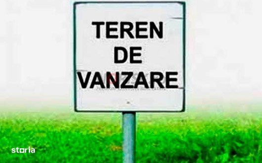 Teren extravilan | Tancabesti | 5000mp
