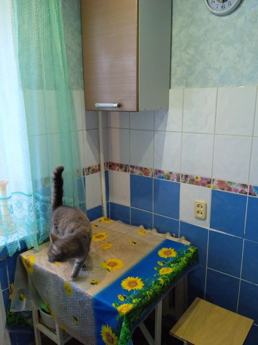 2х комнатная квартира