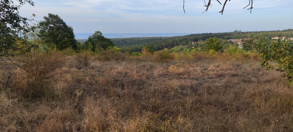 Продава се Парцел в с. Бенковски, Област Варна - 5345 кв.м за 48 €/кв.м - Снимка #6