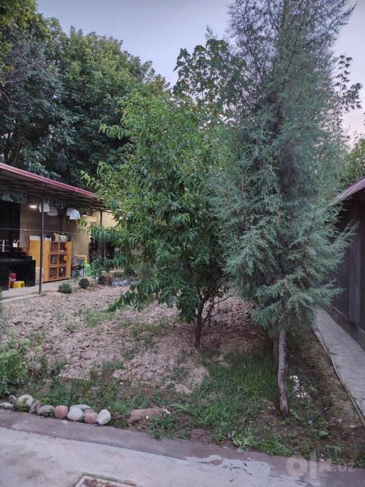 Продается дача в лесу