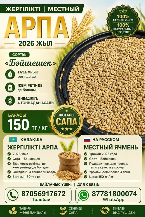 Ячмень Арпа Бидай