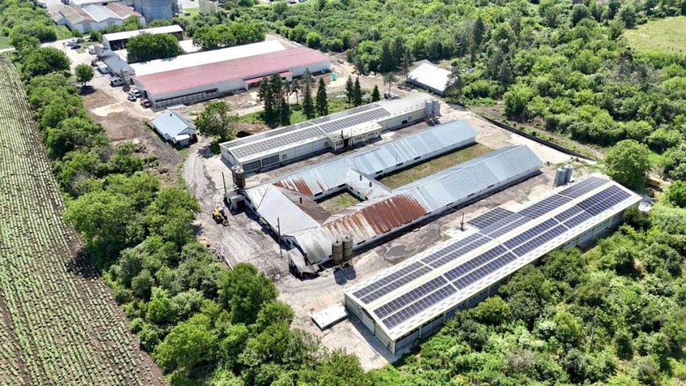 Действаща птицеферма за продажба в с. Борисово