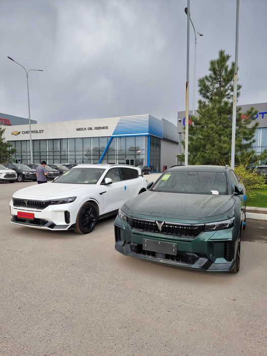 VOYAH FREE Apollo Tech 2025 full