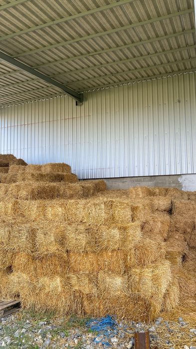 Vând baloți lucernă/lucernă fan