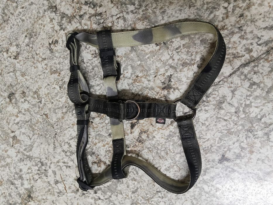 Шлейка для собаки