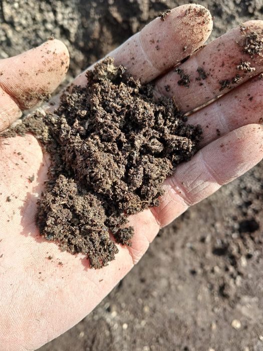 Биогумыс Тыңайтқыш