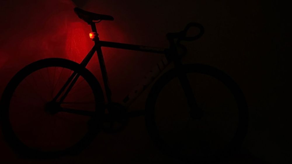 Low ll | black and white | fixed gear