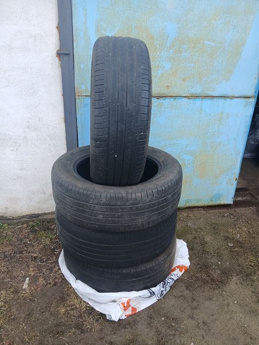 Шины  летний  NEXEN