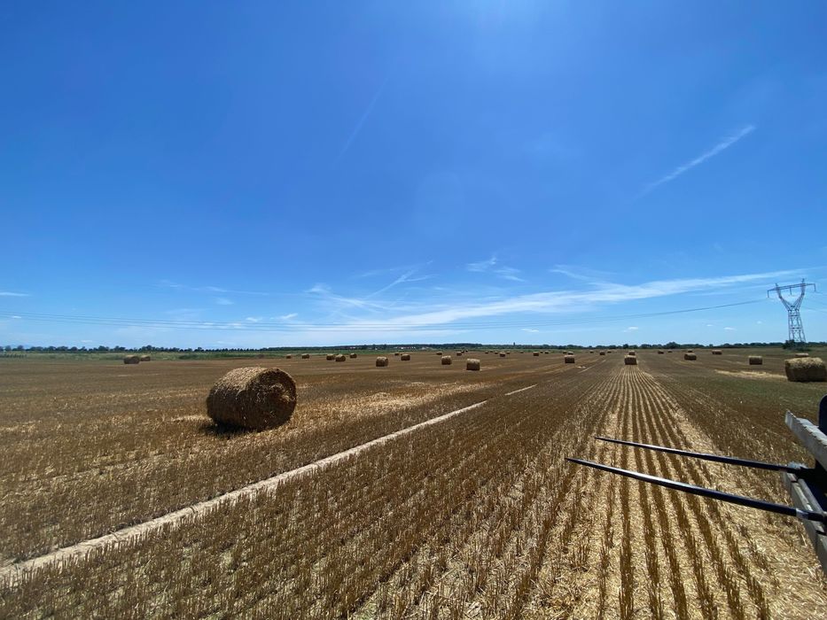 Baloți de paie grâu și ovăz  1.20 x1.20