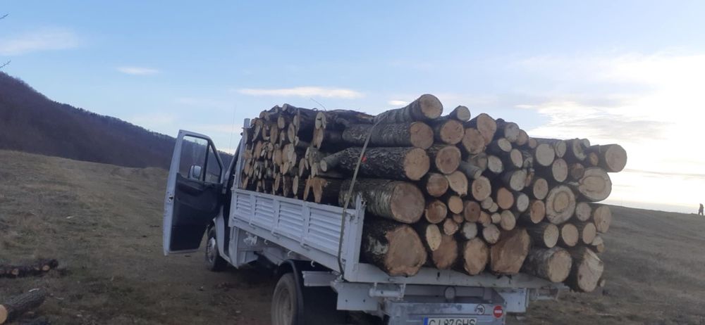 Lemne de foc la 320 lei metru esență tare cu transport gratuit