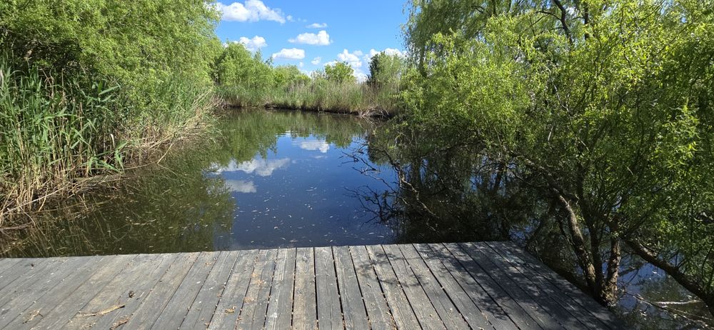 Teren intravilan 3400mp cu lac privat in Peris / Snagov utilitati tot