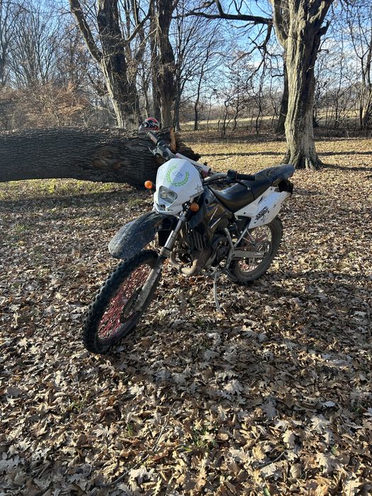 MororHispania furia max 50