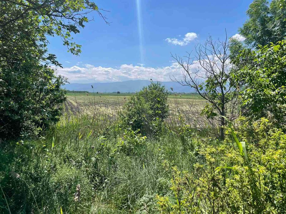 Продава се Парцел в с. Ягодово, Област Пловдив - 9003 кв.м за 15 €/кв.м - Снимка #1