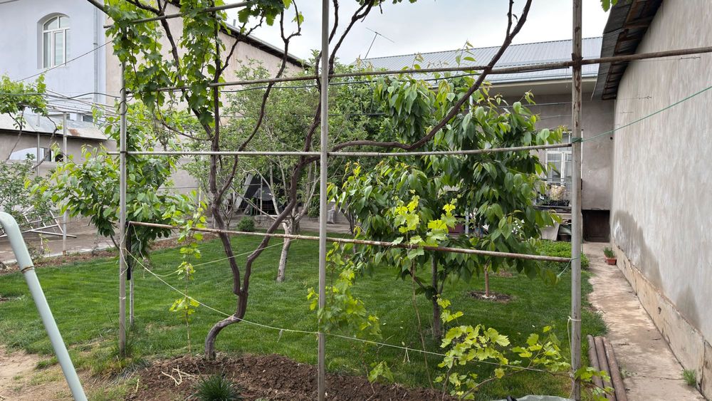 Участка 4.57 сотых