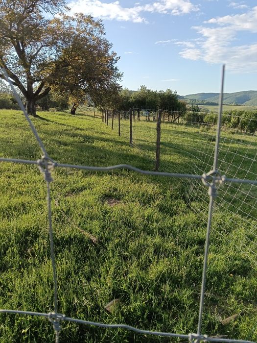 Plasa gard de vânzare