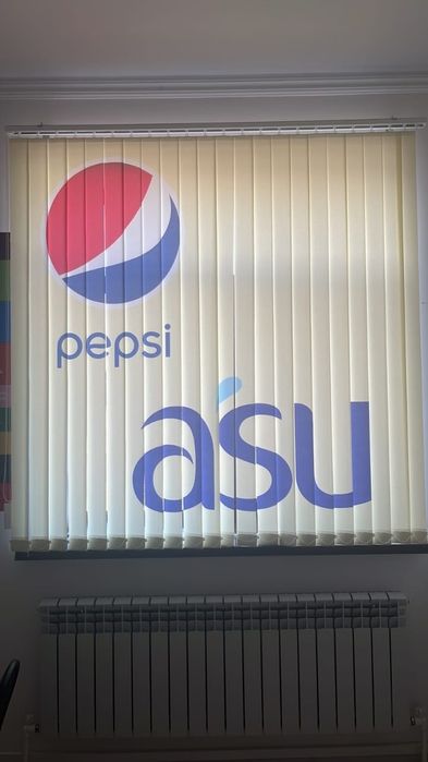 Жалюзи ролл-шторы День и ночь