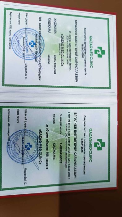 Лечение пиявками