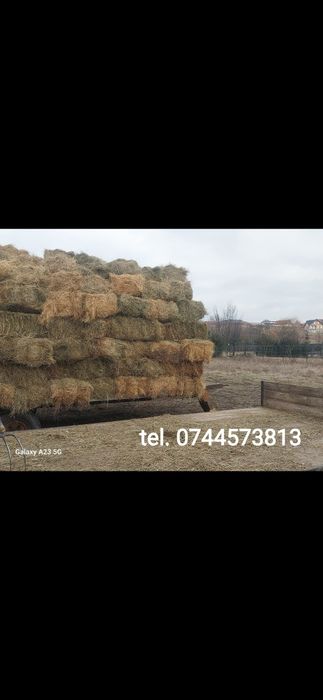 Baloti fan 500.Rotunzu 40.Fan or Lucerna.La TIR>RO.Kaki Dud Rodiu Me