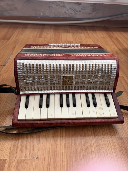 Acordeon Malysh de adolescenți !