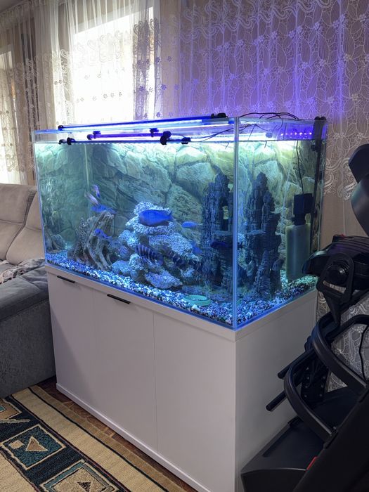 Аквариум на 420 литров .