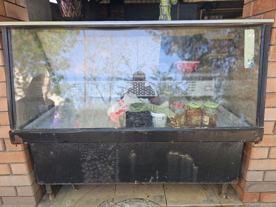 Vitrina morozilnik