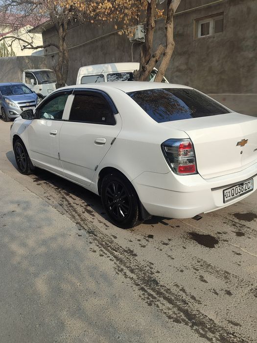 Vikupga 2025 Cobalt Beriladi 2200km propeg