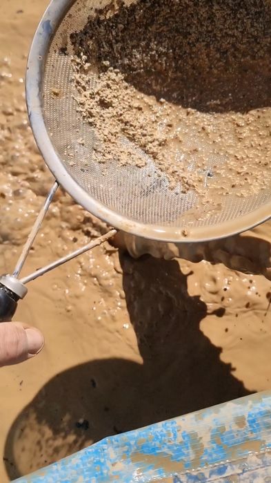 Foraje puturi denisipari