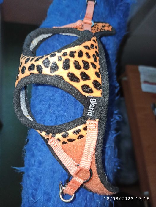 Аксесоари за  малко куче и  1 бр - яке и гащеризон