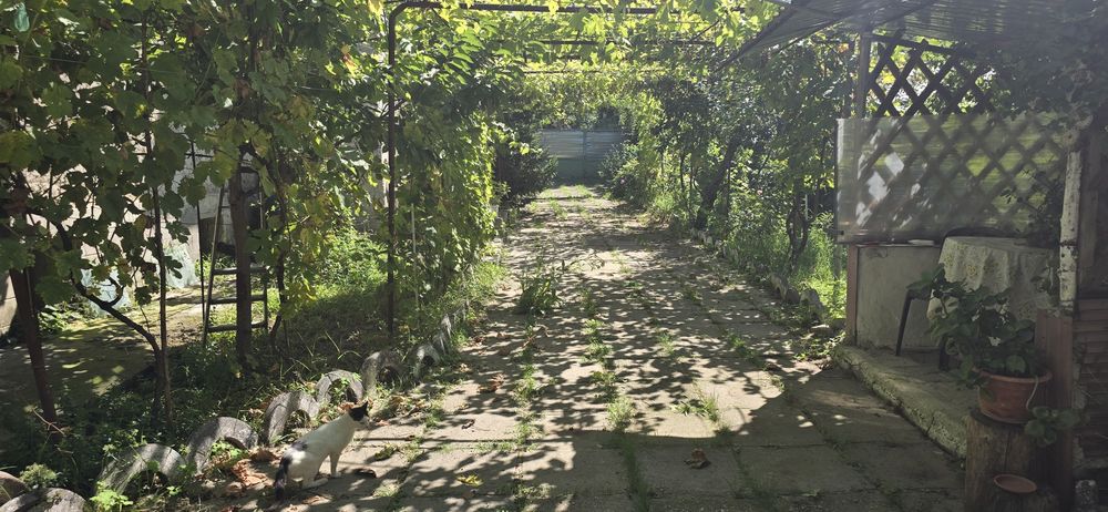 Casă de vănzare  cu teren 1100mp in Sărata Monteoru.  gaze  și  canalizare