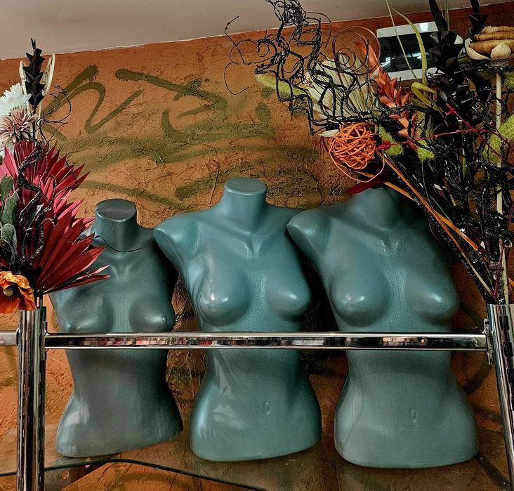 Торсове Манекени