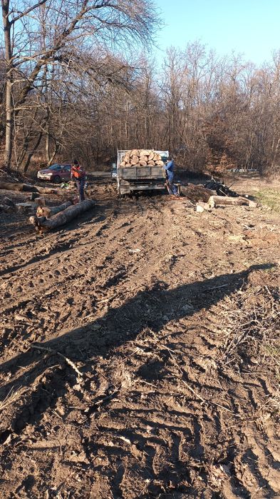 Lemne pt foc!sobă sau centrala!preturi top și cantitate corectă!