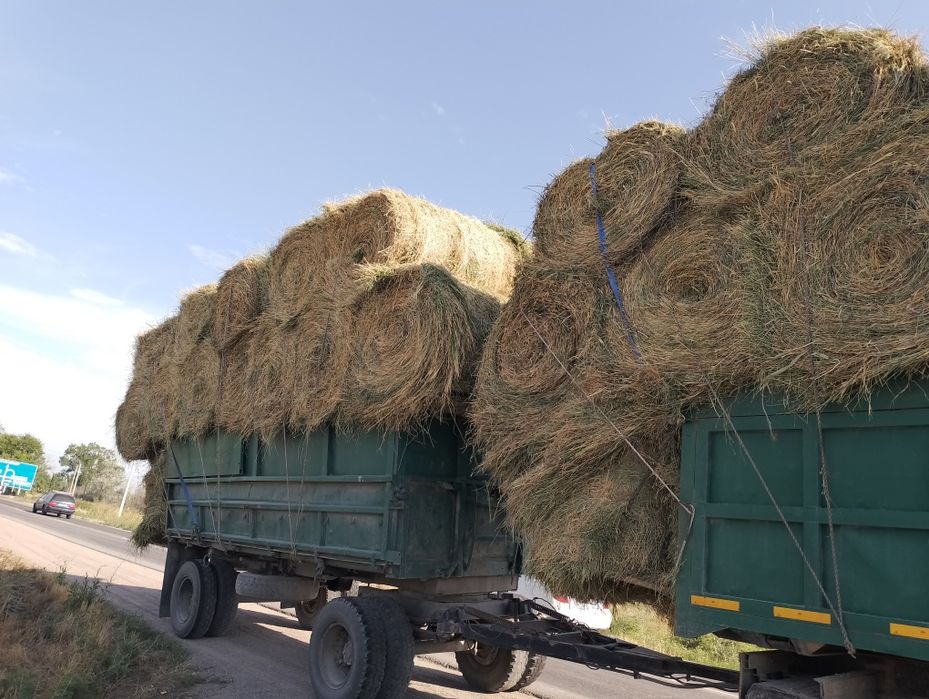 сено люцерна жоношка урлон