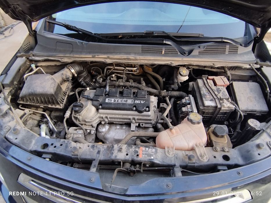 2023/2024 краска тозза