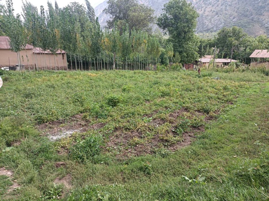 Srochna uchastka sotiladi  15sotix